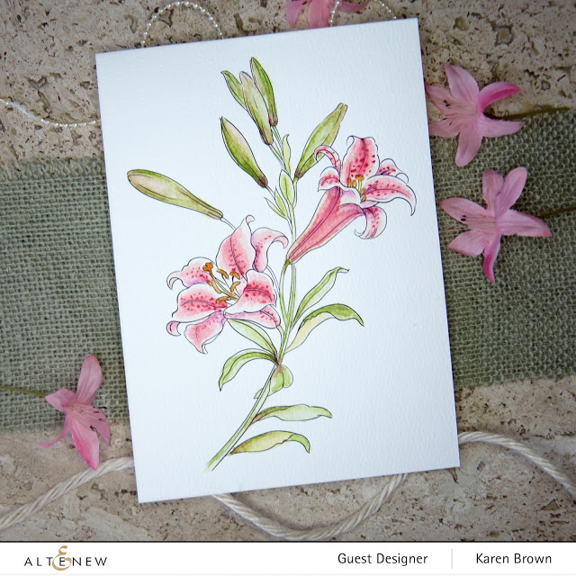 Altenew watercolor Stargazer Lilly.