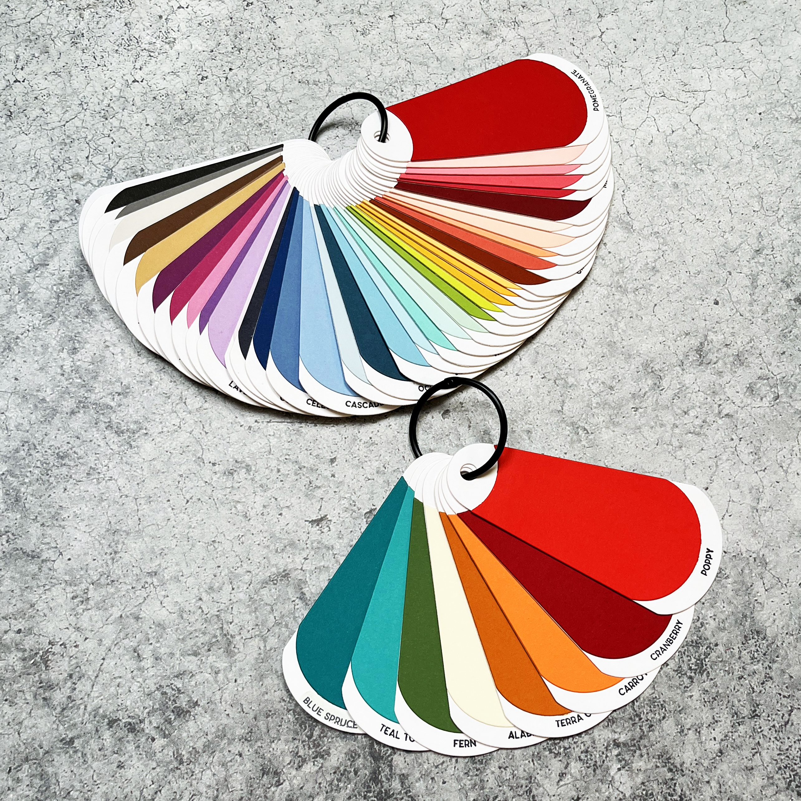 Exploring Spellbinders' 48 Colors – A Swatching Adventure!