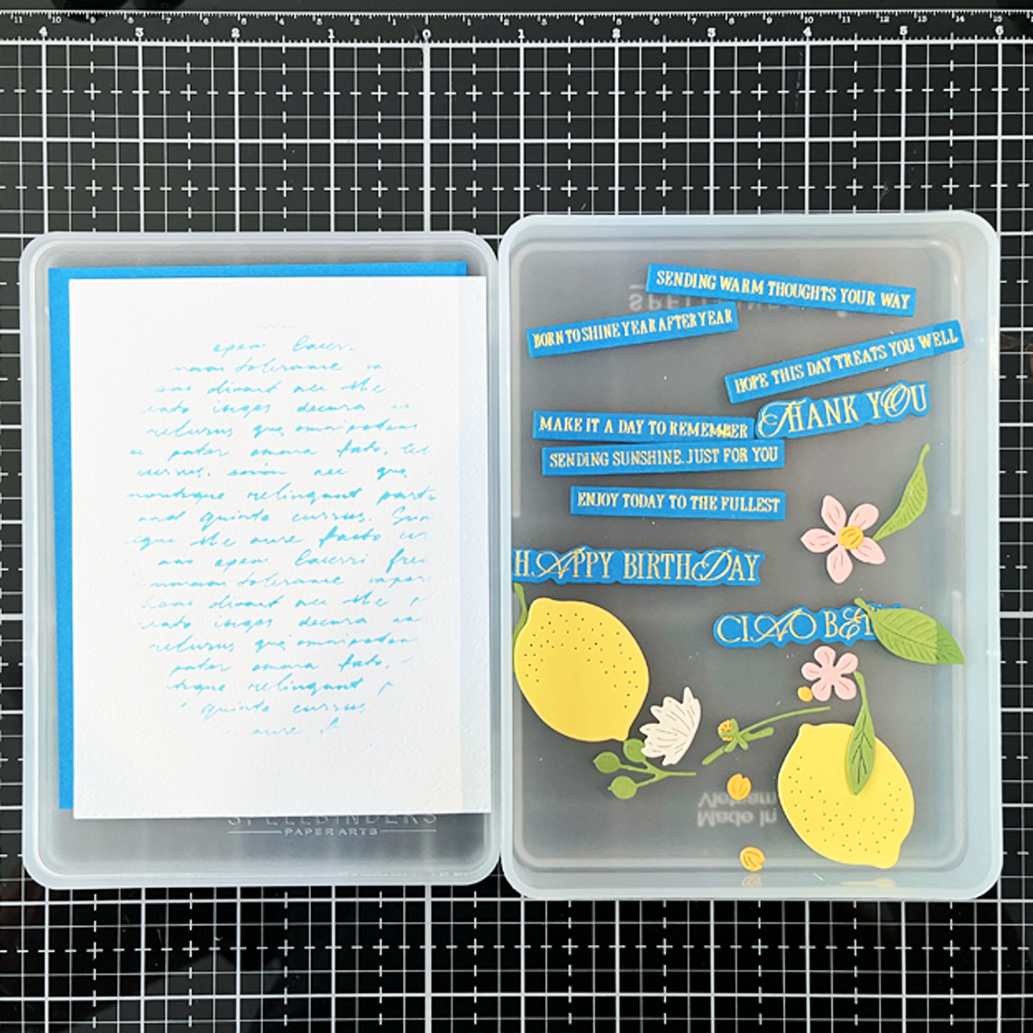 Craft Stax Organizer filled with die cuts and card components