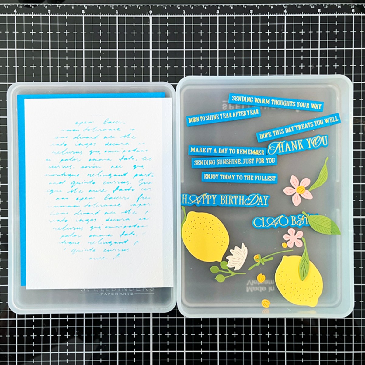 Craft Stax organizers are the best way to keep die-cuts safe and organized while die-cutting.